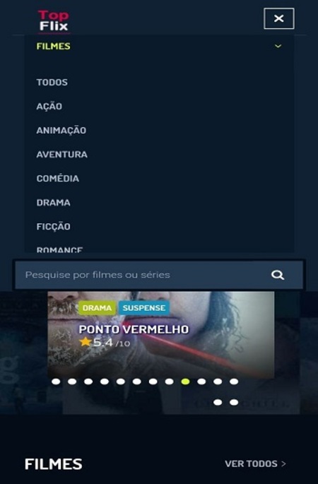 Topflix 4