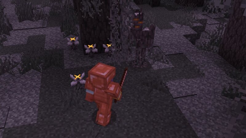 Minecraft 1.21.110.22 5