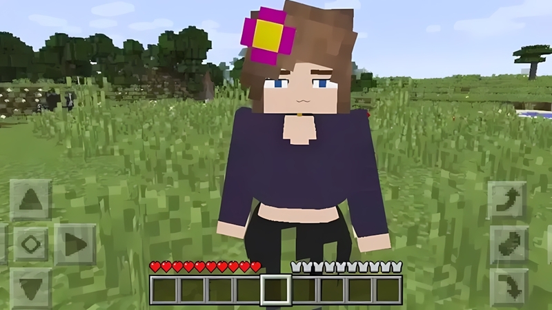 Jenny Minecraft 1