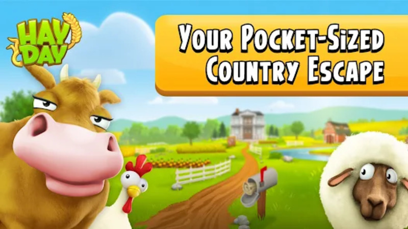 Hay Day 1