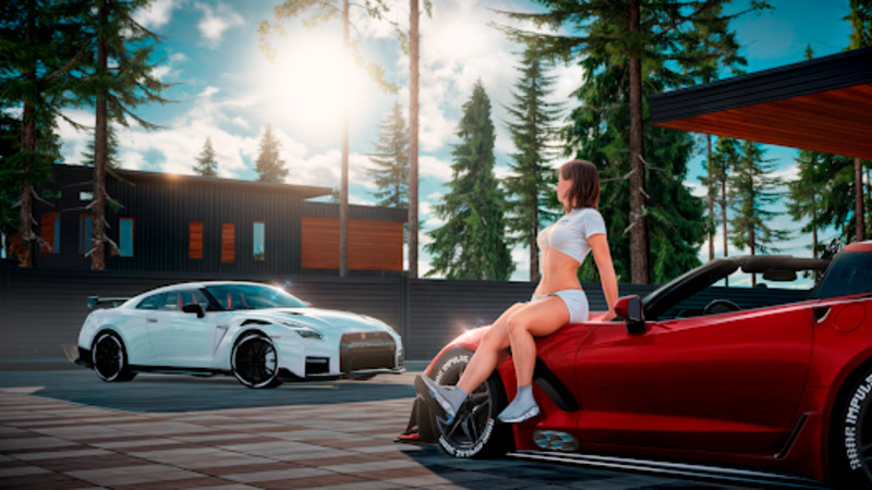 Drive Zone Online 5