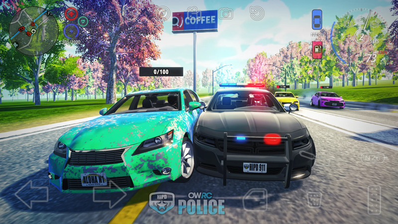 OWRC Police 1